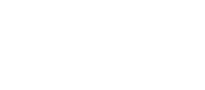 Official Selection - NewFilmmakers New York - Fall Series 2014